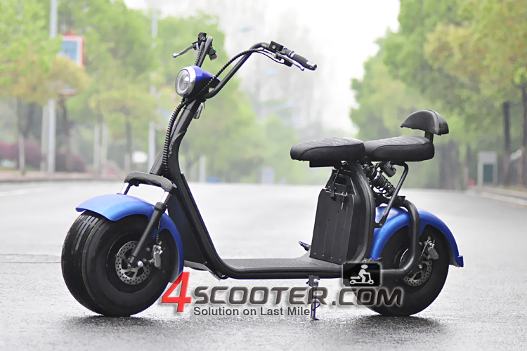 New Big Wheel 1000W City CoCo Electric Scooter